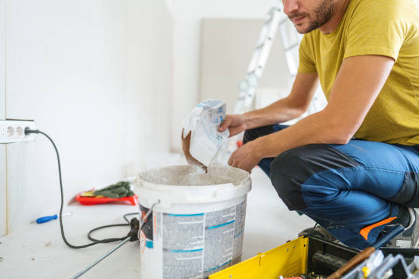 Trusted Spring Valley Village, TX Mold Removal Experts