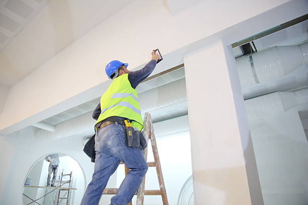 Best Biohazard Mold Removal  in Spring Valley Village, TX